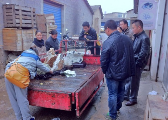 長(zhǎng)沙市譚力礦產(chǎn)品有限公司,長(zhǎng)沙礦產(chǎn)品銷售,工藝品銷售,鉆石飾品批發(fā) 長(zhǎng)沙市譚力礦產(chǎn)品有限公司,長(zhǎng)沙礦產(chǎn)品銷售,工藝品銷售,鉆石飾品批發(fā)