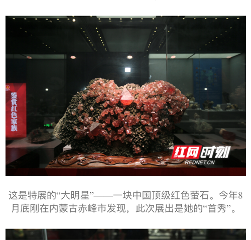 長(zhǎng)沙市譚力礦產(chǎn)品有限公司,長(zhǎng)沙礦產(chǎn)品銷售,工藝品銷售,鉆石飾品批發(fā)